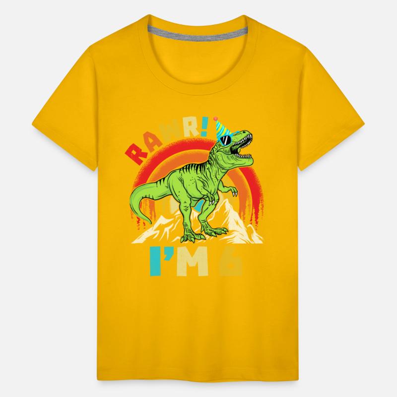 6th Birthday Dinosaur T Rex Rawr I'm 6 For Boys
