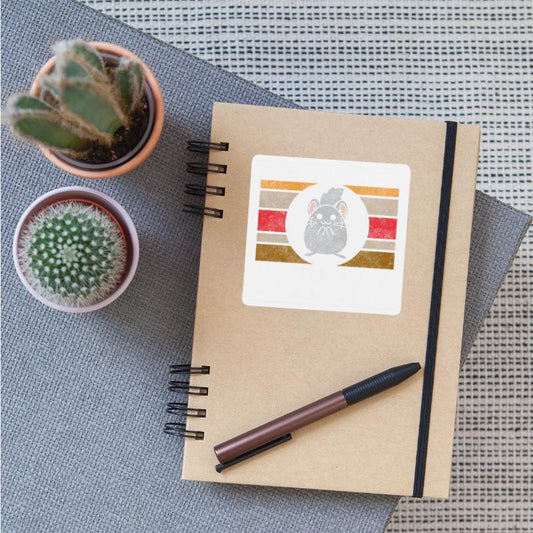 Chinchilla Rodent South America