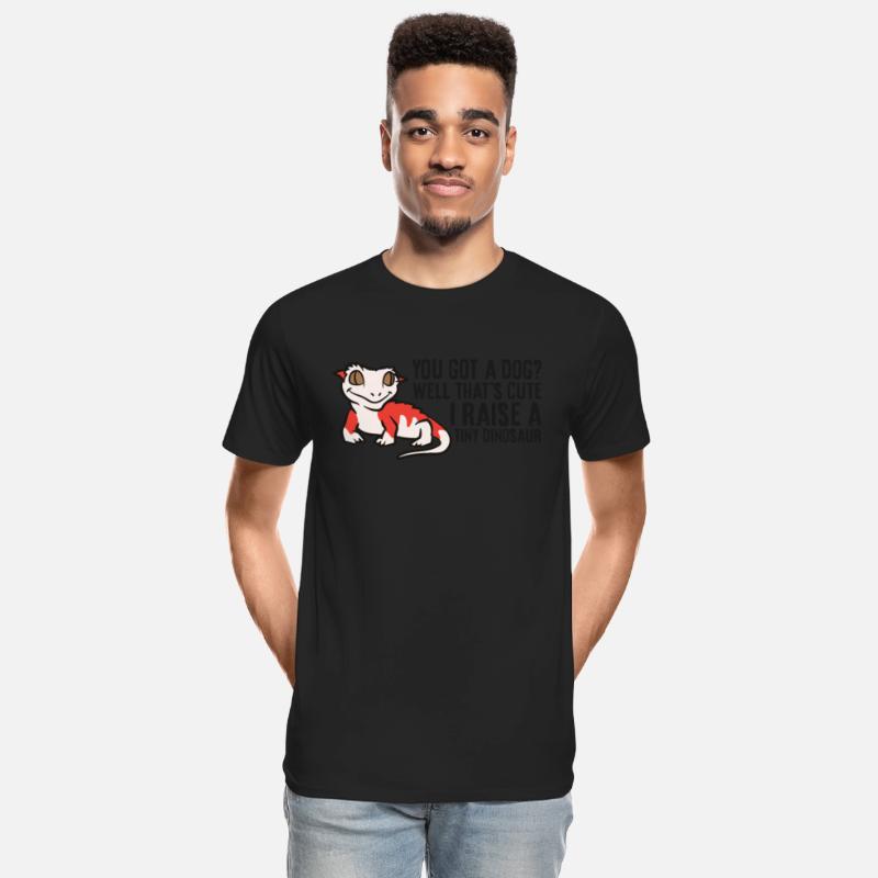 Crested Gecko Owner Crested Gecko Pet Crested