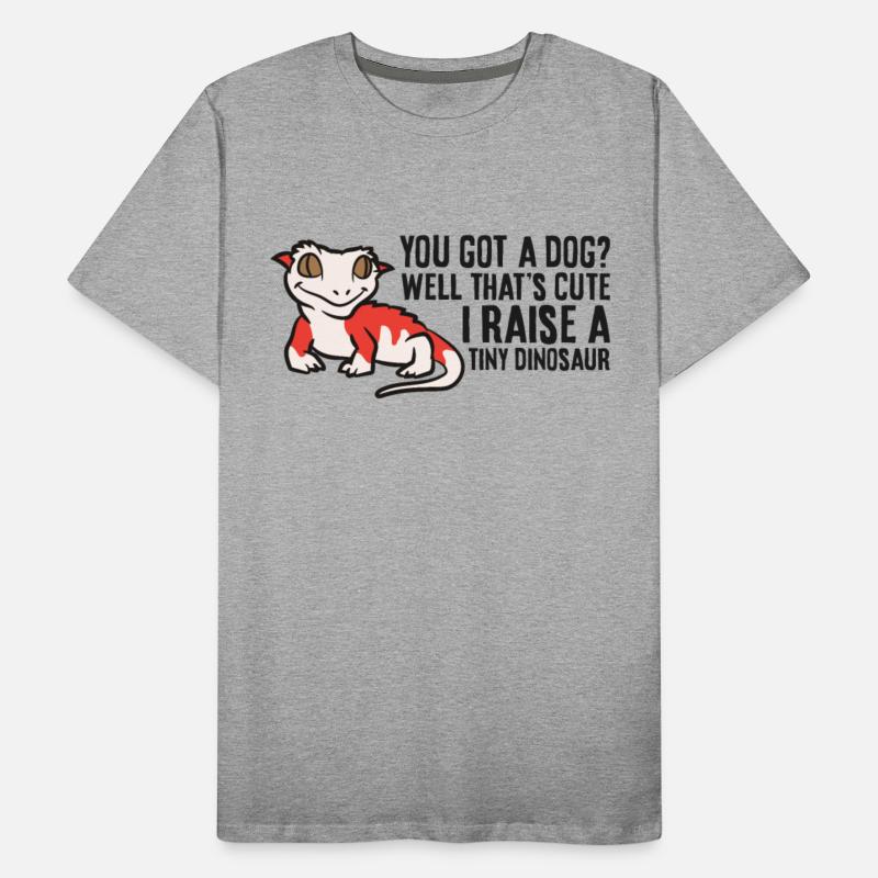 Crested Gecko Owner Crested Gecko Pet Crested