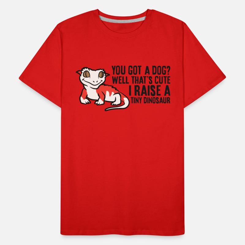 Crested Gecko Owner Crested Gecko Pet Crested