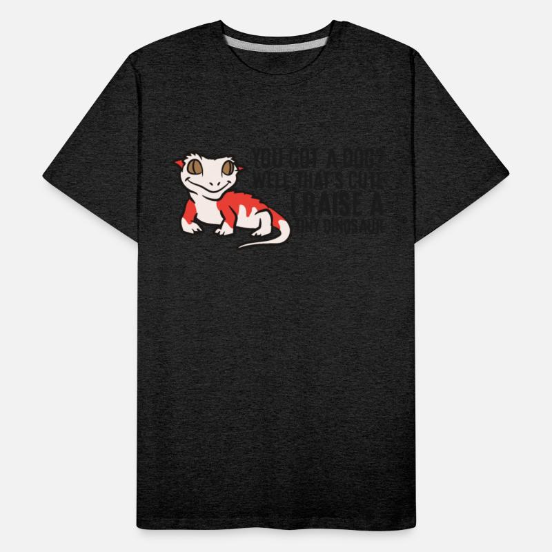 Crested Gecko Owner Crested Gecko Pet Crested