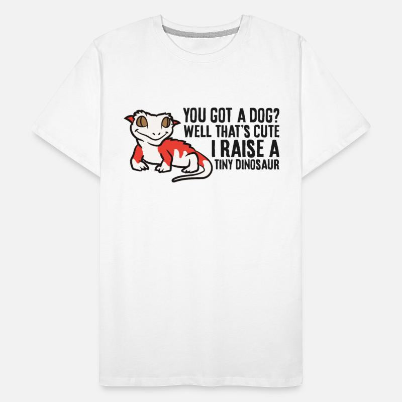 Crested Gecko Owner Crested Gecko Pet Crested