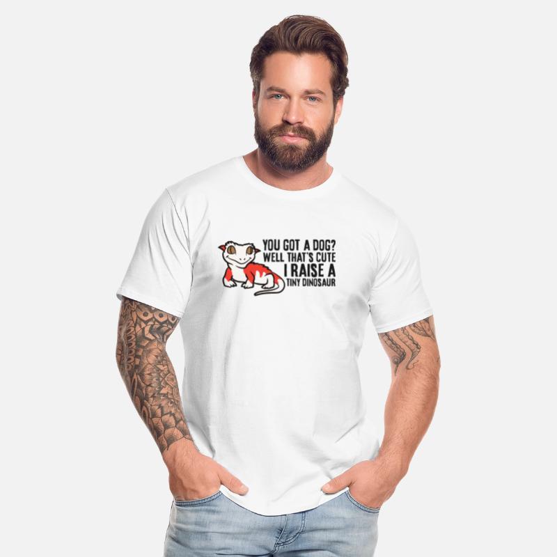 Crested Gecko Owner Crested Gecko Pet Crested