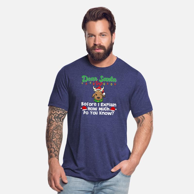 Dear Santa Before I Explain How Much Do You Know