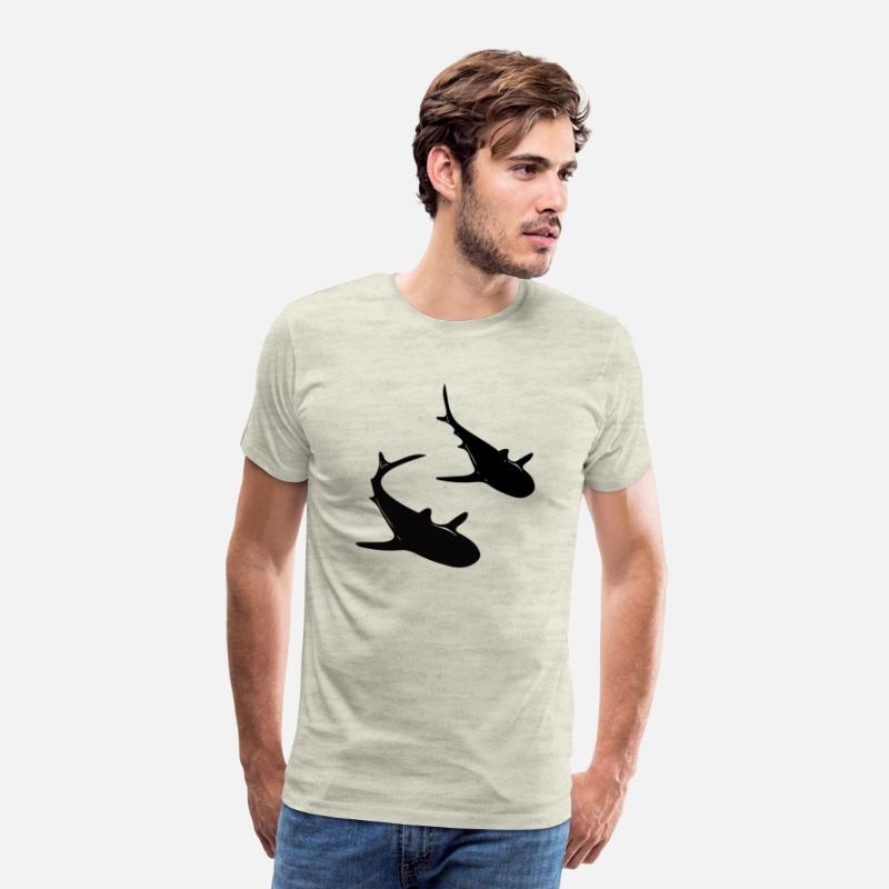 Elegant Nurse Sharks In School Formation