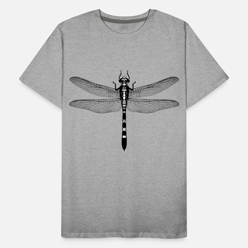 Graphic of a dragonfly