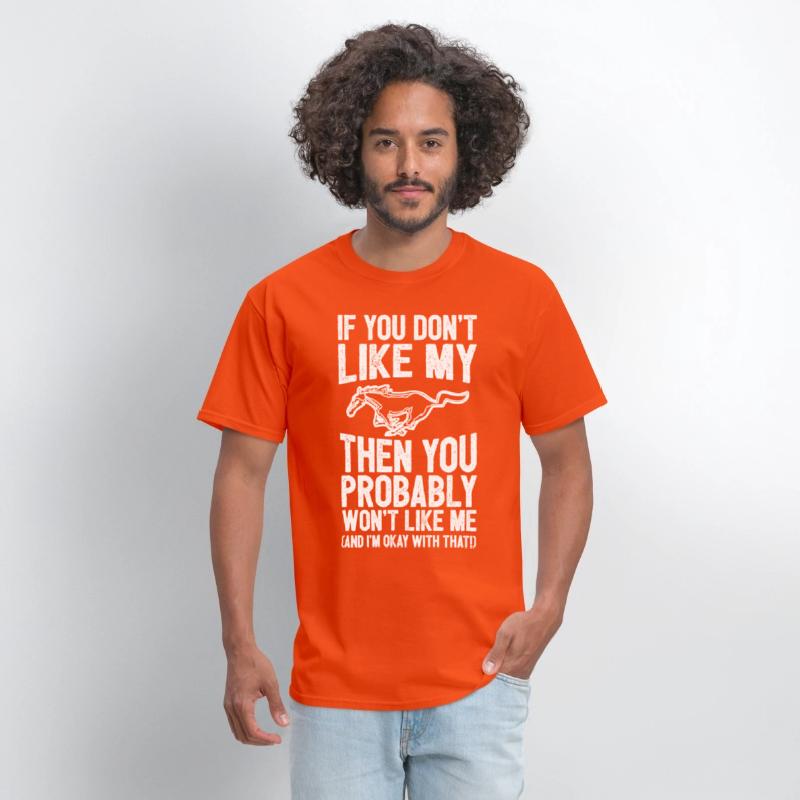 Mustang horse - You probably won't like me