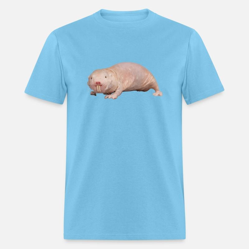 Naked Mole Rat Sand Puppy Hairless Rodent Vermin