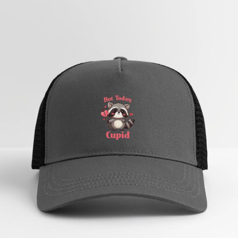Not Today Cupid - Raccoon Valentines Day