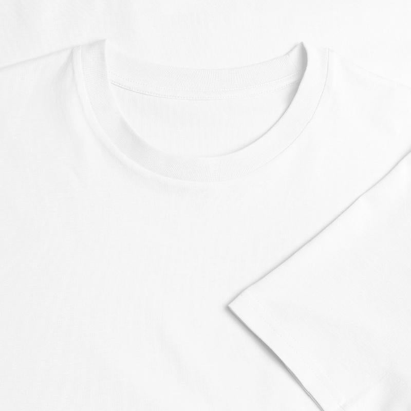 Panda Diving with Dolphin in the Sea