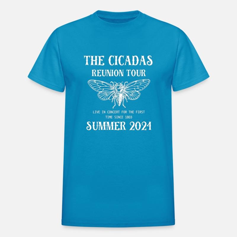 Reunion Tour 2024 Concert