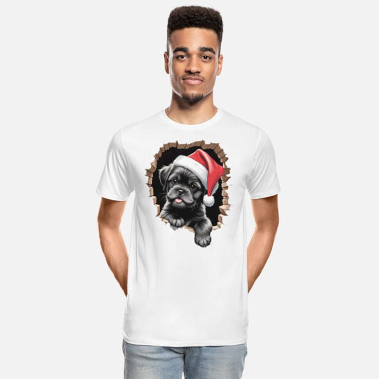 Shih Tzu Dog