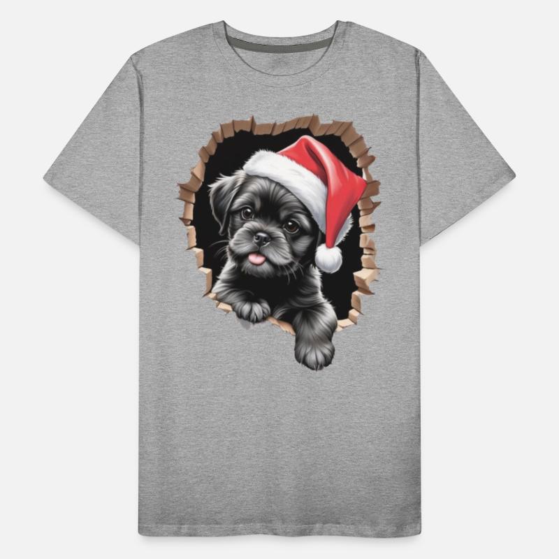 Shih Tzu Dog
