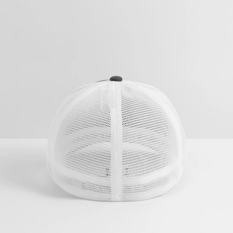 Storch, Bird, Birth, Pregnancy, Pregnant