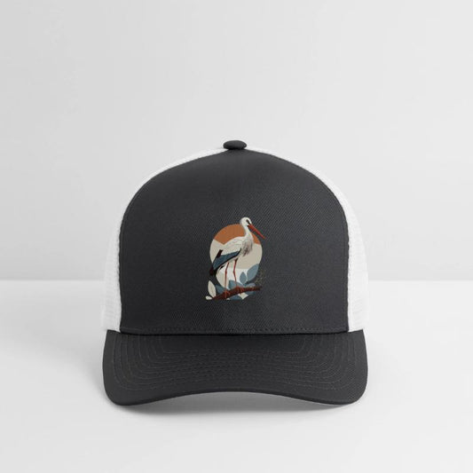 Storch, Bird, Birth, Pregnancy, Pregnant