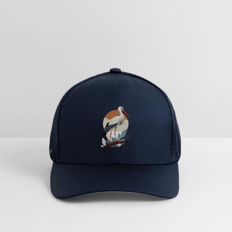 Storch, Bird, Birth, Pregnancy, Pregnant