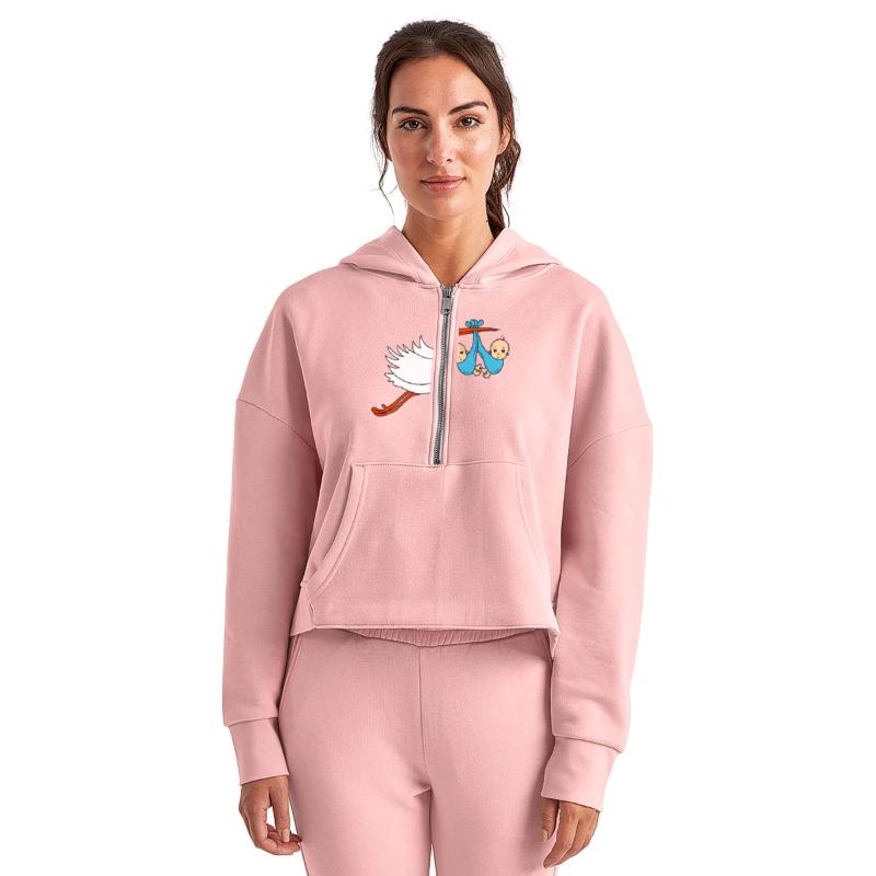 Stork Twins Baby Babies Boys Pregnancy Sons